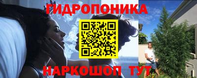 кокс Кунгур