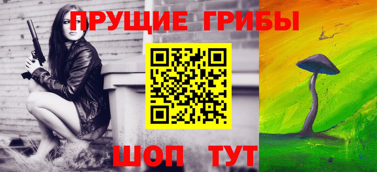 Галлюциногенные грибы Psilocybe Всеволожск