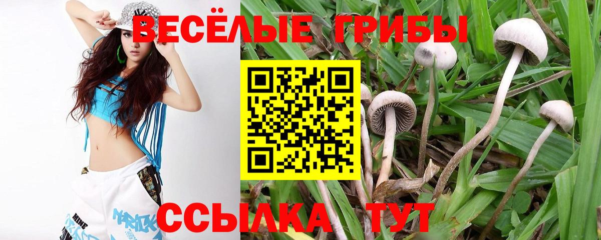 Галлюциногенные грибы Cubensis  Вход с VPN  цена   Всеволожск 